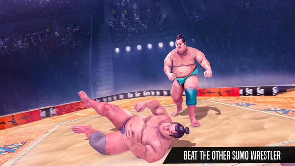 相扑摔跤手2022v1.4