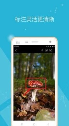 远程投影仪v1.0.0