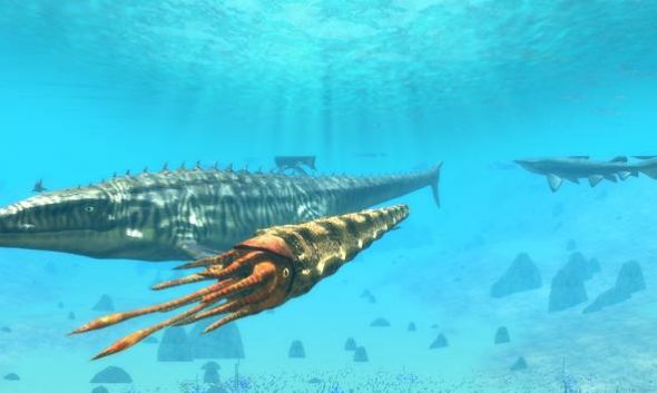 摄像机模拟器v1.0.8