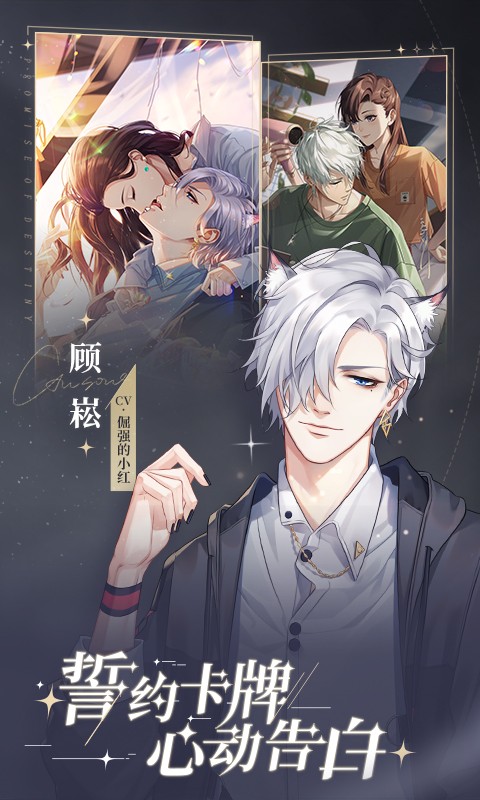 猫之宿约者v1.0.0