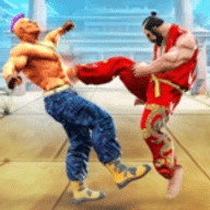 新街霸终极功夫v1.2