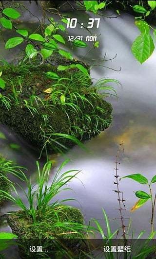 精美风景动态壁纸v