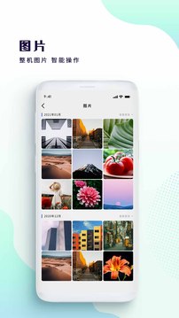 海量大片免费播放器v