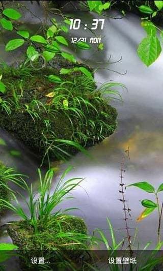 精美风景动态壁纸v