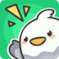 咪波appv1.0.0