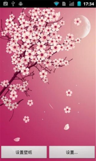 浪漫樱花动态壁纸v3.18
