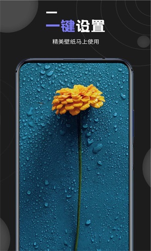 个性壁纸大全v1.2