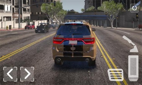 杜兰戈模拟器v1.1