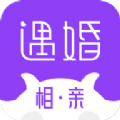 遇婚v1.0.1