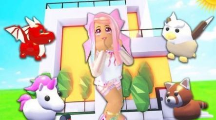 领养宠物战斗v1