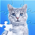 天天来拼图2v1.0