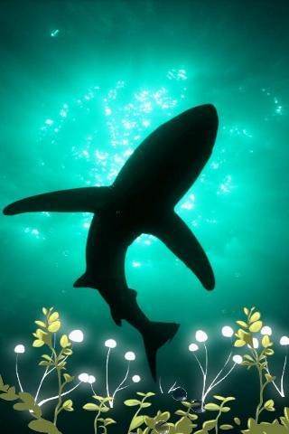 深海绿豆动态壁纸v4.3.0