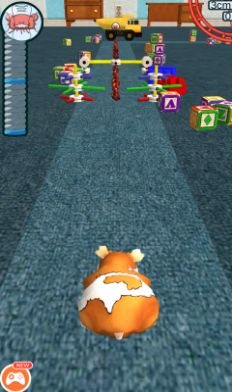 疯狂动物酷跑v1.0