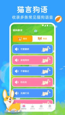 猫语宠物翻译器v2.0.1