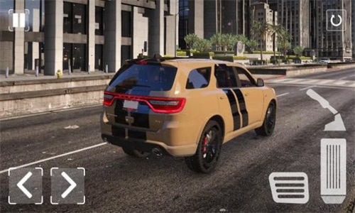 杜兰戈模拟器v1.1