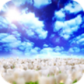 蓝天白云视频动态壁纸app	vv1.2.6