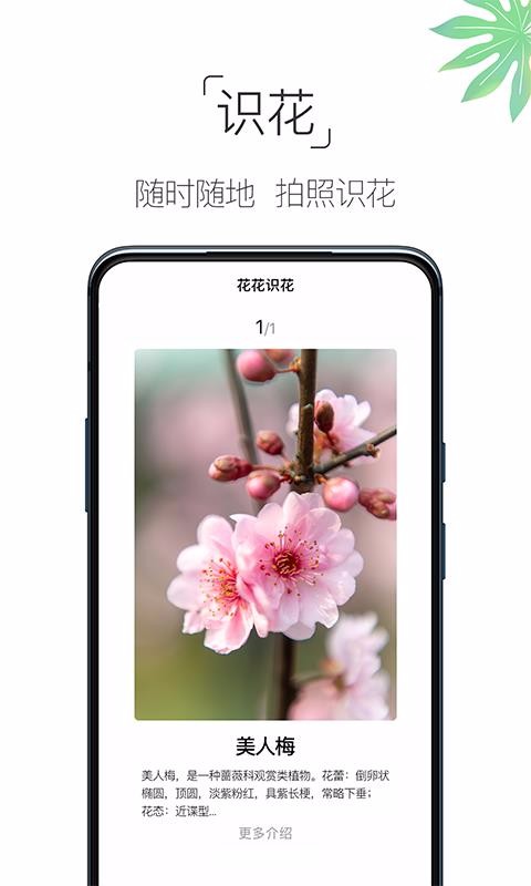 养花大全v4.3.2