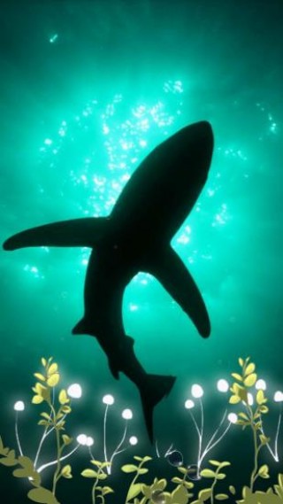 深海绿豆动态壁纸v4.3.0