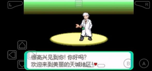 口袋妖怪黑暗之火v渡生