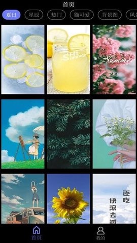 花田动态壁纸v1.0.0