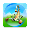 昆虫进化大乱斗v1.0