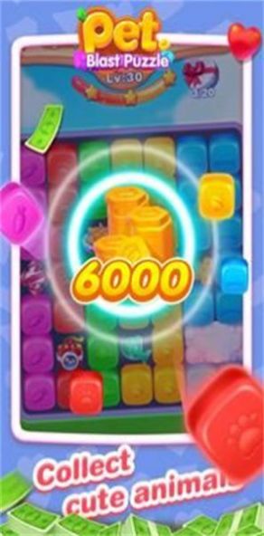 宠物爆炸谜题v0.0.8
