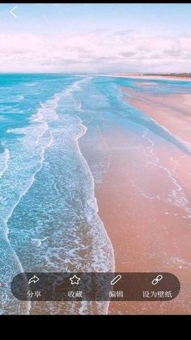 花田动态壁纸v1.0.0