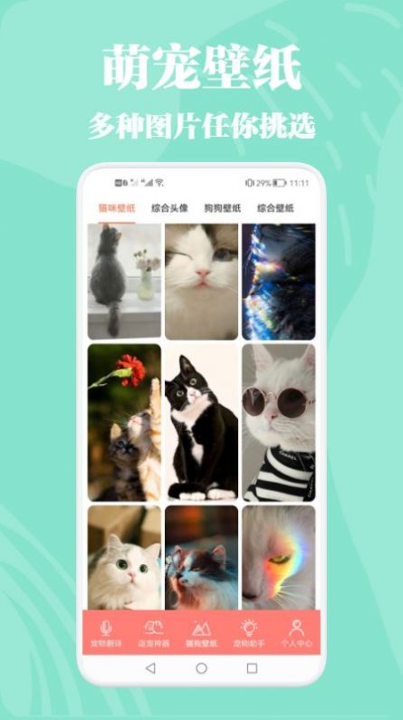 猫狗动物交流器v1.1