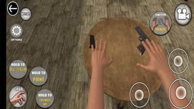 手掌模拟器联机版v42