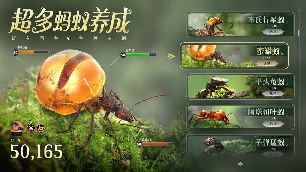 小小蚁国无限资源版v1.31.1