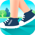 天天走路宝v1.6.6.1