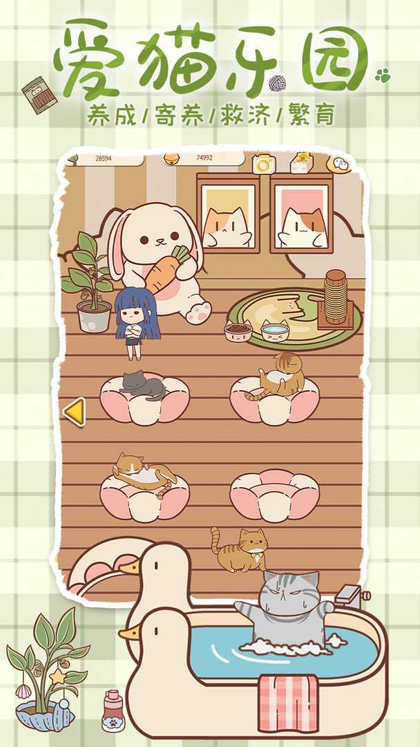 喵呜开门v3.24.04