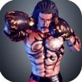 踢拳超级明星v1.2
