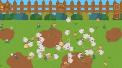 我的养鸡场v1.0.1