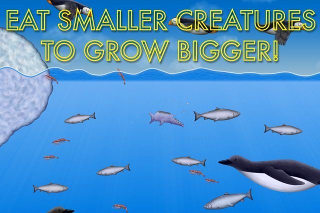 金鱼模拟器v1.3.4.0