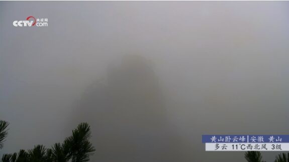 秒看电视直播免授权码版v6.4.5