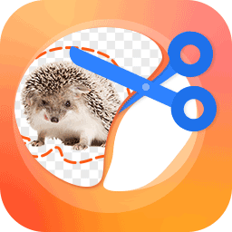 抠图P图大师v2.1