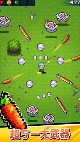 这是武器吗v0.29