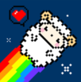 星咩视频壁纸v1.1.3