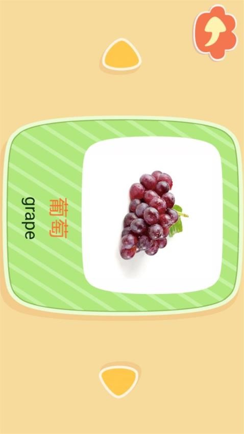 亲亲熊识字v2.0.03