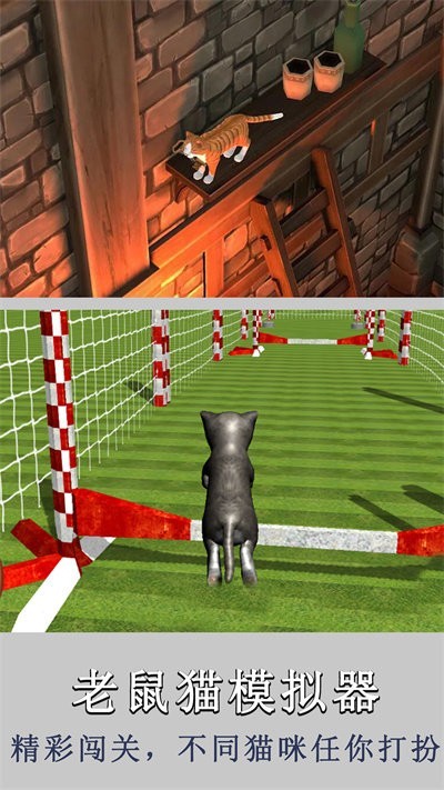老鼠猫模拟器v1.0