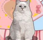 解压收纳神器手机版v1.2