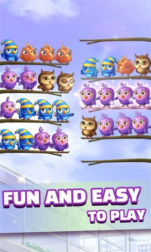 小鸟分类谜题v1.0.3