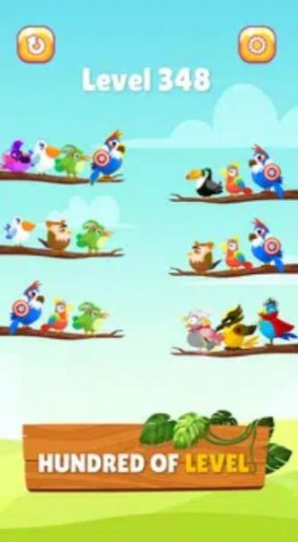 小鸟分类大师v1.0.3