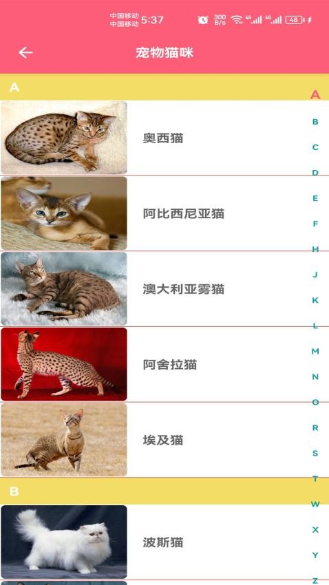 宠物宝宝大全v1.009