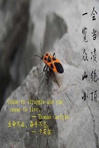 六级考研英语词汇大围剿v5.9.21