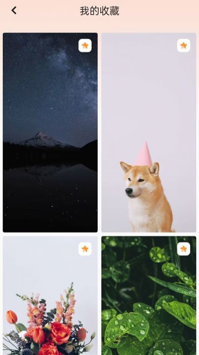 天天换壁纸v2.3.2