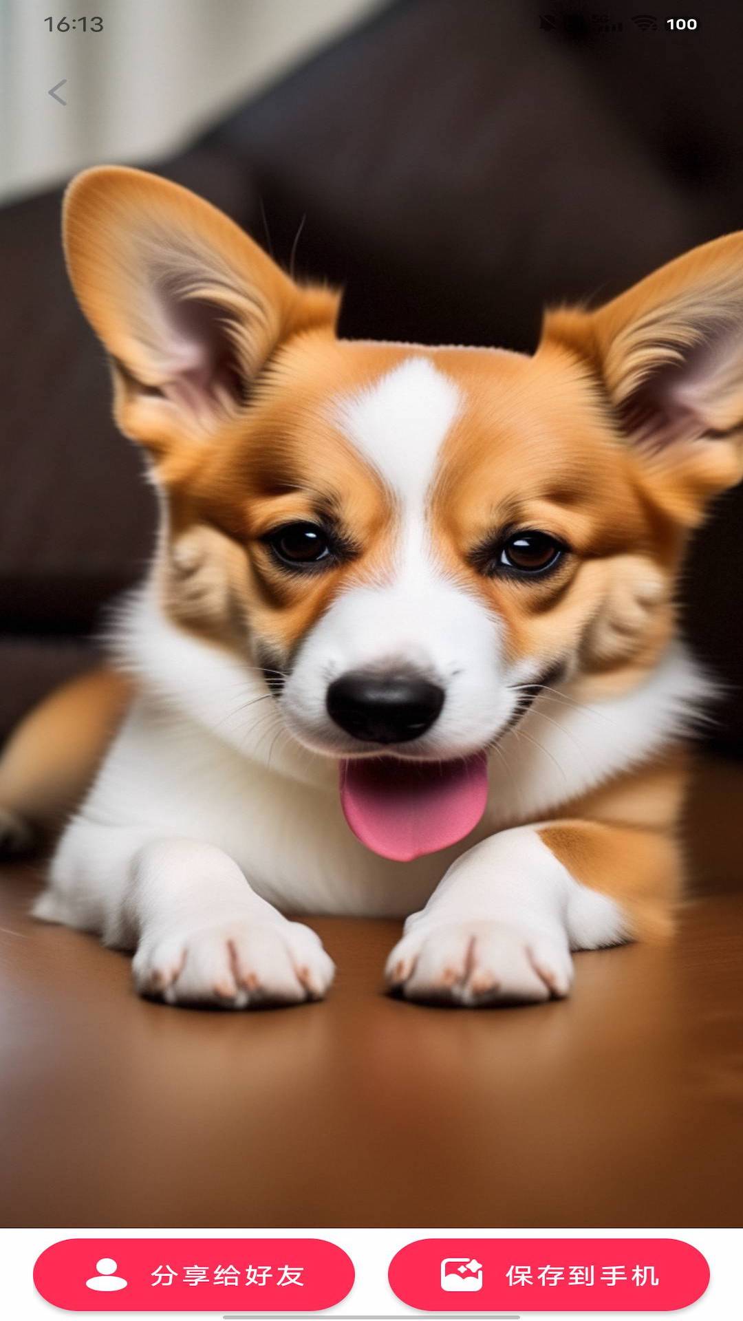 动态DIY壁纸v1.0.1