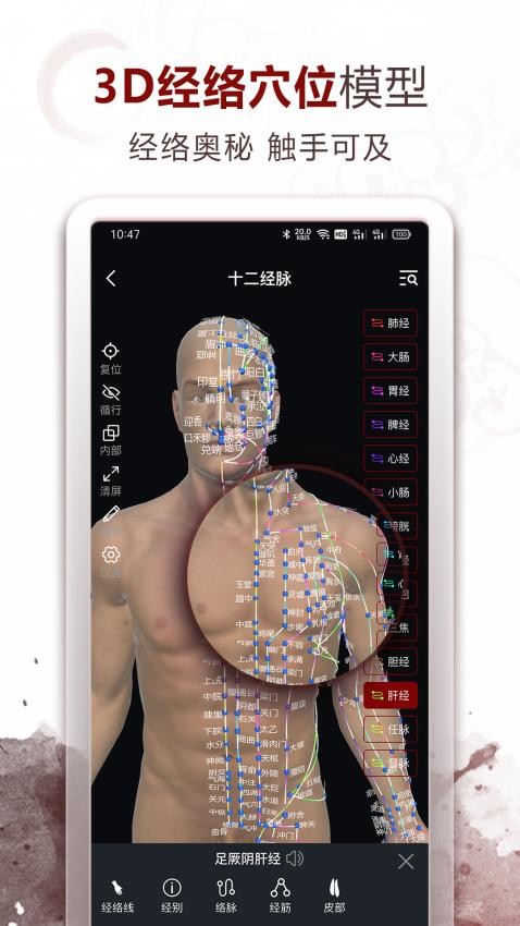 中医经络穴位v2.9.0